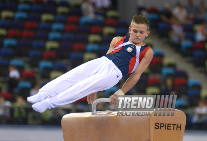 Kişi idman gimnastikası üzrə 22-ci Bakı Çempionatı və Birinciliyi. Bakı, Azərbaycan, 02 oktyabr 2015